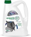 Фото ВАМП Antifreeze CT11 Longlife Pro Green 5 л (10556)