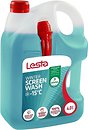 Фото Lesta winter screen wash -15°C 4 л