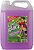 Фото Bardahl Summer Screenwash Fruit 5 л (4561B)