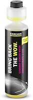 Фото Karcher Summer Screenwash concentrate RM 672 250 мл (6.296-110.0)