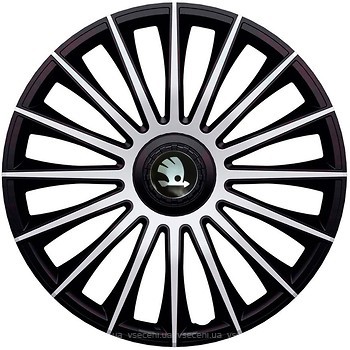 Фото J-Tec Austin Silver-Black 14 Skoda