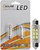 Фото Solar led T11 12V 6xSMD 3528 White 39mm (LS276-B2)
