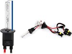 Фото Amio Xenon Bulb H1 8000K (01418/5903293014189)