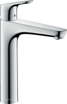 Фото Hansgrohe Focus 31608000