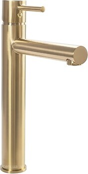 Фото Rea Tess High REA-B5660 Gold Matt