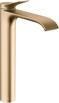 Фото Hansgrohe Vivenis 75042140