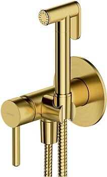 Фото Omnires Y brushed brass (SYSYBI2BSB)