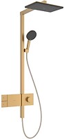 Фото Hansgrohe Raindance Alive Q (24581990)