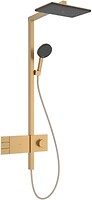 Фото Hansgrohe Raindance Alive Q (24590140)