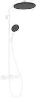 Фото Hansgrohe Raindance Alive S Puro (24593700)