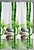 Фото Tropik Bamboo 240x200 (BS10056B)