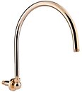 Фото Bianchi BRDOLF090000ORO