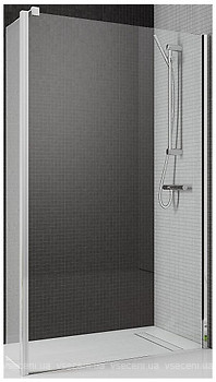 Фото Radaway Eos II Walk-in 100 L (3799502-01L)