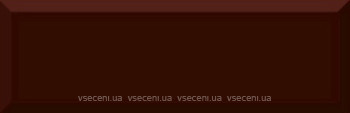 Фото Absolut Keramika плитка настінна Monocolor Biselado Marron Brillo 10x30