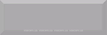 Фото Absolut Keramika плитка настінна Monocolor Biselado Plata Brillo 10x30