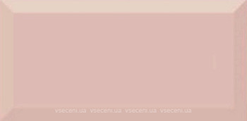 Фото Absolut Keramika плитка настінна Monocolor Biselado Salmon Brillo 10x20
