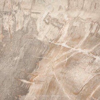 Фото ABK Ceramiche плитка для підлоги Fossil Stone Beige 50x50 (FSN24100)
