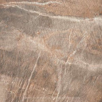 Фото ABK Ceramiche плитка для підлоги Fossil Stone Brown 50x50 (FSN24150)