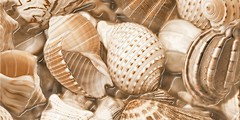Фото Golden Tile декор Sea Breeze Shells бежевий 30x60 (Е11421)