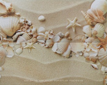 Фото Атем декор-панно Yalta Seashells 40x50 (комплект 2 шт)