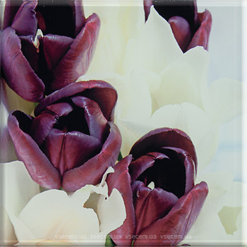 Фото Ceramika Paradyz декор Uniwersalna Decoracja Tulipany 20x20