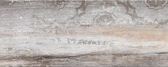 Фото Ceramika Konskie плитка для стін Treviso Predazzo 20x50