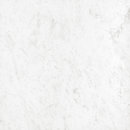 Фото Ragno ceramica плитка для підлоги Bistrot Pietrasanta Glossy 58x58 (R4MJ)