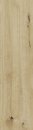 Фото Ragno ceramica плитка напольная Woodtale Nocciola 15x120 (R4TU)