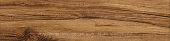 Фото STN Ceramica плитка для підлоги Sauco Miel 24x95