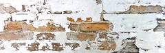 Фото Porsixty плитка для стін Wally Bianco 24x72