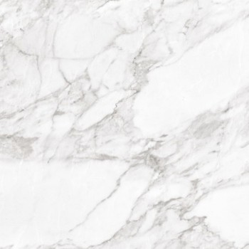 Фото Argenta плитка напольная Carrara White Shine 60x60