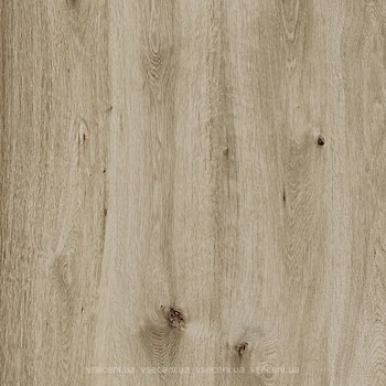 Фото Ragno ceramica плитка для підлоги Woodtale XT20 Nocciola Rett 60x60 (R4XH)