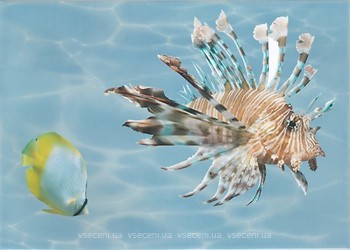 Фото БерезаКераміка декор Лазур Морський світ 2 бірюзовий 25x35