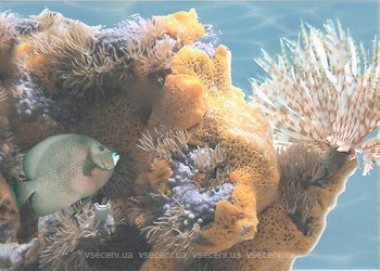 Фото БерезаКераміка декор Лазур Морський світ 6 бірюзовий 25x35