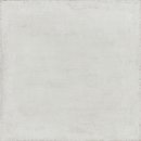 Фото Kale плитка для підлоги Vera GS-N8203R Bone 60x60