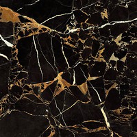 Фото Golden Tile плитка для підлоги Saint Laurent чорна 60.7x60.7 (9АС510)