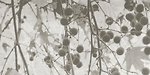 Фото Kale плитка для стін Fiore FON-5463R Recified Bone Decor 41x81