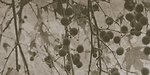 Фото Kale плитка для стін Fiore FON-5464R Recified Beige Decor 41x81