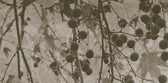 Фото Kale плитка для стін Fiore FON-5464R Recified Beige Decor 41x81