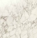 Фото Ragno ceramica плитка Maiora Marble Effect Arabescato Glossy Rettificato 120x120 (R6RX)