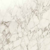 Фото Ragno ceramica плитка Maiora Marble Effect Arabescato Glossy Rettificato 120x120 (R6RX)