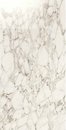 Фото Ragno ceramica плитка Maiora Marble Effect Arabescato Glossy Rettificato 120x240 (R6RM)