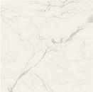 Фото Ragno ceramica плитка Maiora Marble Effect Statuario Glossy Rettificato 120x120 (R6RY)