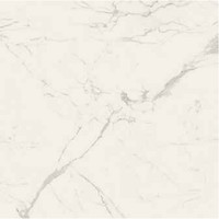 Фото Ragno ceramica плитка Maiora Marble Effect Statuario Rettificato 120x120 (R6SE)