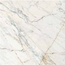 Фото Ragno ceramica плитка Maiora Marble Effect Calacatta Oro Rettificato 120x120 (R6SD)