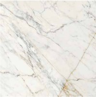 Фото Ragno ceramica плитка Maiora Marble Effect Calacatta Oro Rettificato 120x120 (R6SD)