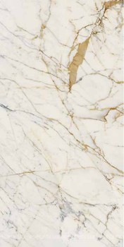 Фото Ragno ceramica плитка Maiora Marble Effect Calacatta Oro Rettificato 120x240 (R6RS)