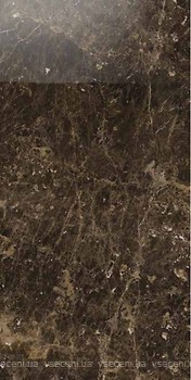 Фото Ragno ceramica плитка Maiora Marble Effect Emperador Glossy Rettificato 120x240 (R6RP)