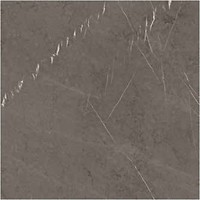 Фото Ragno ceramica плитка Maiora Marble Effect Grafite Rettificato 120x120 (R6SF)