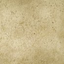 Фото Gres de Aragon плитка для підлоги Orion Beige 33x33